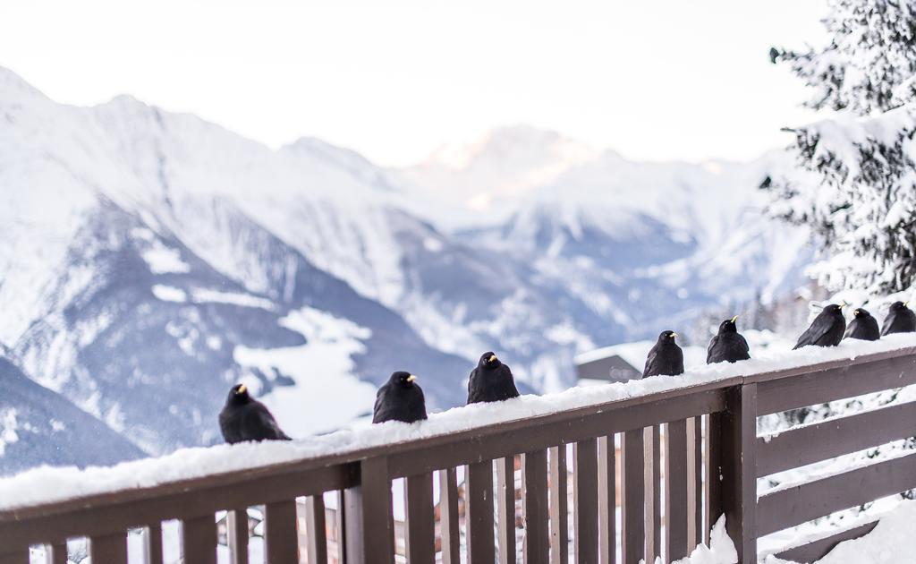 Harmony EG Süd-Ost Daire Bettmeralp Dış mekan fotoğraf