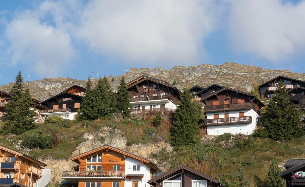 Harmony EG Süd-Ost Daire Bettmeralp Dış mekan fotoğraf